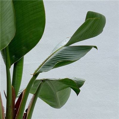 以色列国防军称,袭击了伊朗一处用于研发潜艇的海军设施。